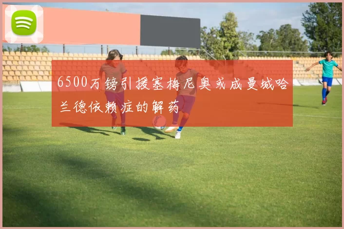 6500万镑引援塞梅尼奥或成曼城哈兰德依赖症的解药