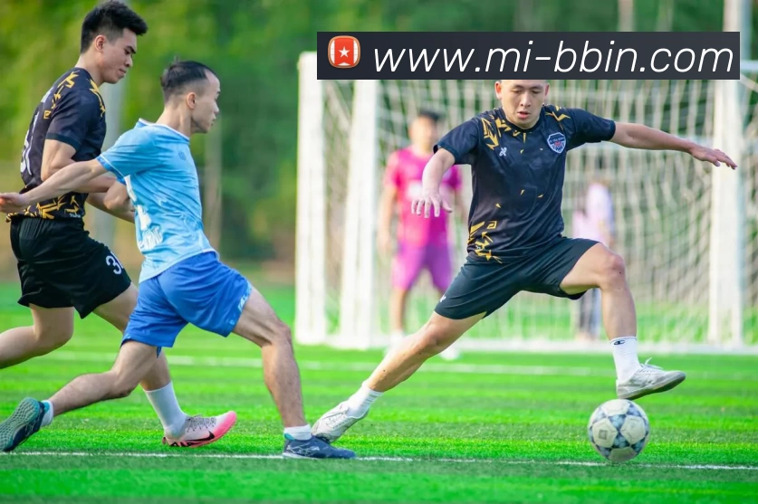 BBIN娱乐发展历程